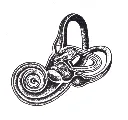 3.webp