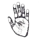 3.webp