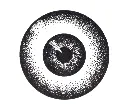 3.webp